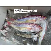 在飛比找蝦皮購物優惠-台灣金門手釣金線魚（又名金線鰱）非進口魚