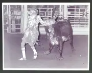 Ardmore OK Pro Rodeo Clown Skipper Voss Bullfighter Bull Reprint Of 1981 Photo
