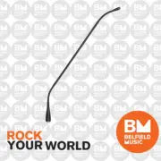 AKG GN50M 50cm (20inch) Gooseneck Module GN-50M Mic Microphone Goose Neck - BNIB