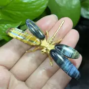 Natural Blue Yellow Tiger’s Eye Dragonfly skull Quartz Crystal Hand DIY Skull1PC