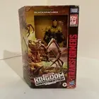 Hasbro F0670 Blackarachnia Transformer Cybertron Kingdom Action Figure