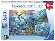 Ravensburger - Ocean Life Puzzle 3x49 Piece