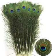 ✨ 24Pcs Peacock Feathers Long Natural 35-40 Inch 90-100 Cm Cruelty Free