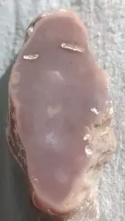 Petrified Wood Agatized Limb Cast Vibrant Color Purple Red Glass Like Polish
