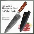 Full Tang Chef Knife 67 Layers Japanese Damascus Steel Wood Handle Beef Slicing