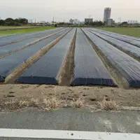 在飛比找蝦皮購物優惠-✯農好康✯雜草抑制蓆 抑草蓆 全尺寸販售 台灣製造 大量現貨