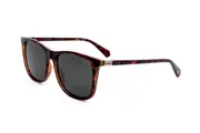 Sunglasses Polaroid PLD 6103/S/X 086 HAVANA 56/16/145 MAN Brown 56 mm