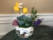 Artificial Green Grass Succulent Planter in a Jing De Zhen Bowl