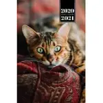BENGAL CAT KITTEN KITTY TOMCAT WEEK PLANNER ORGANIZER 2020 / 2021 - RELAX: CUTE ANIMAL PET OWNER WEEKLY BULLET JOURNAL NOTEBOOK DIARY IN 6