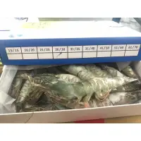 在飛比找蝦皮購物優惠-久賀馬來西亞海白蝦！