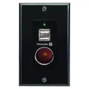 Magnadyne WCP-12V-B Black Wall Mount 2 USB Charging Ports and 12V Power Outle...