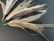 Natural Emu Feather Pincher Charms Findings DIY Craft Jewellery Supplies