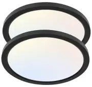 2 Pack 12 Inch Selectable CCT LED Round Flat Panel Light, 24W,
