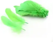 Natural Goose Feathers Clothing Accessories Pack of 100(Lime Green)