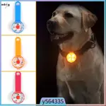 DOG LED COLLAR PENDANT WALKING AT NIGHT USB CHARGING WATERPR