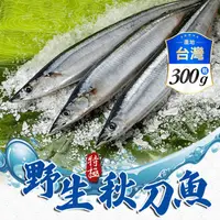 在飛比找生活市集優惠-【享吃海鮮】野生特級秋刀魚300g (一包3隻)