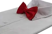 [Zasel] Mens Red Solid Plain Colour Bow Tie