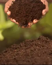 Coconut Dust(Coco Peat)- Agriculture Home Garden Grow 100% organic [1L]