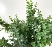 Australian native flower greenery blue gum eucalyptus stem artificial flowers