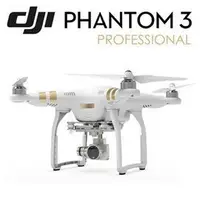 在飛比找Yahoo!奇摩拍賣優惠-【翼世界】大疆 DJI Phantom 3 Professi