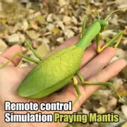 Hot RC Animal Robot Antistress Insect Toys Spider Bee Fly Mantis Electric Toy