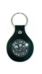 Lynyrd Skynyrd Keyring Skull Band Logo Keychain