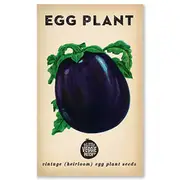 The Little Veggie Patch Co Eggplant Heirloom Seeds