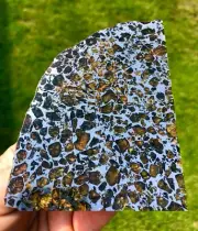 Seymchan Meteorite slab