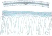 [OATIPHO] Bride's Leg Garter Tassel Lace Garter Set 1 Pair Wedding Garter Soft Lace for Special Moments Sky-Blue
