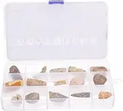 CIYODO Set of Unique Specimens Paleontology Adornment for Classroom Teaching and Boys and Girls Decor