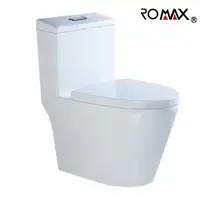 在飛比找蝦皮購物優惠-《金來買生活館》美國品牌 ROMAX R8028 水龍捲 單