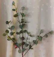 NWT Winter Christmas Floral Stem - Silver Glittered Eucalyptus - 33.25" Tall