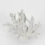 [Florabelle Living] Delmar White Coral 34X13X27CM
