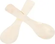 COSMEVIVI Glamorous Spoons 2pc for Fine Dining Serving Eggs and Tasting Ice Cream
