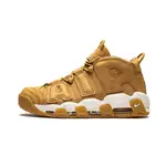 NIKE AIR MORE UPTEMPO 男鞋 籃球鞋 女鞋 氣墊鞋 耐吉 大AIR 休閒鞋 AA4060 200