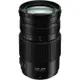 Panasonic LUMIX G VARIO 100-300mm F4.0-5.6 II POWER O.I.S.二代變焦鏡頭 公司貨