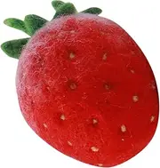 Homoyoyo Create Your Own Felt Fruit Pendants DIY Kit Felting Tools Ideal Present for Craft Lovers