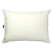 Bloomingdale's My Silk Pillow - Exclusive