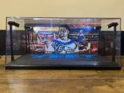 Jey Uso Custom 2-card PSA & BGS display case with LED lights - WWE