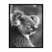 Baby Koala Framed Print Fine Art Poster Print ArtPhotogrpahy art