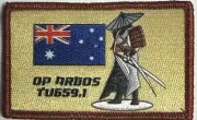 OP ARGOS TU659.1 RAAF Japan P-8A Poseidon Embroidered Patch