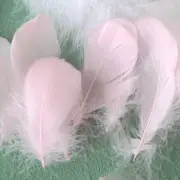 100 Pieces Light Pink Natural Goose Craft Feathers Bulk, Colorful Small Goose Fe