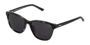 Lozza SL4218 0793 Men's Sunglasses Tortoiseshell Size 53