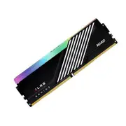 PNY 16GB (1x16GB) DDR5 UDIMM 6200MHz CL42 Desktop PC Memory RGB