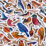 46 Pcs Watercolor Birds Sparrow Precut Cute Aesthetic Diary Travel Paper Junk Journal Stickers Scrapbooking Stationery Sticker