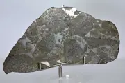Stunning 49.4g PUNGGUR Meteorite Slice Witnessed Fall Indonesia - TOP METEORITE
