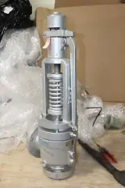 NEW ANDERSON GREENWOOD CROSBY 2.5" HL-36 STYLE 25 PRESSURE RELIEFE VALVE