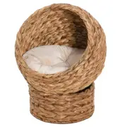 Elevated Cat Bed: Wicker Basket & Soft Cushion