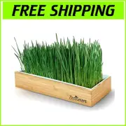 Organic Self-Watering Wheatgrass Growing Kit - Stylish & Easy Indoor Gardening