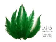 1/2 Lb Kelly Green Mini Spad Ostrich Wholesale Body Feathers Halloween Wing Hat